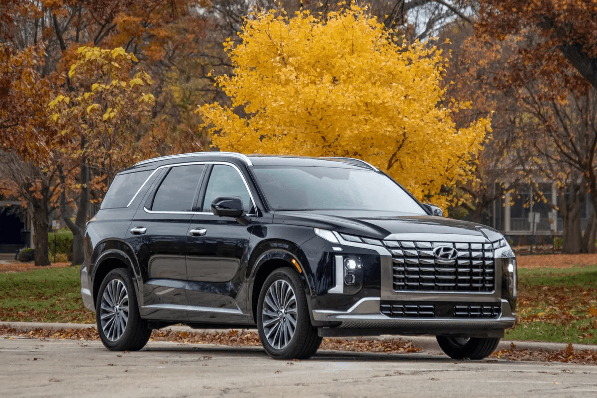 Hyundai Palisade Calligraphy